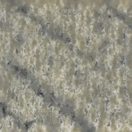 TQ#14803 Calcutta Cloudy