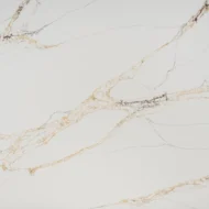 TQ#14797 Calcutta Mitrio