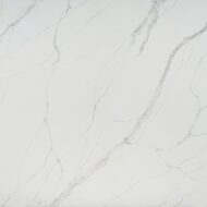 TQ#14815 Calcutta Silver