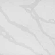 TQ#14144 Calcutta Stella