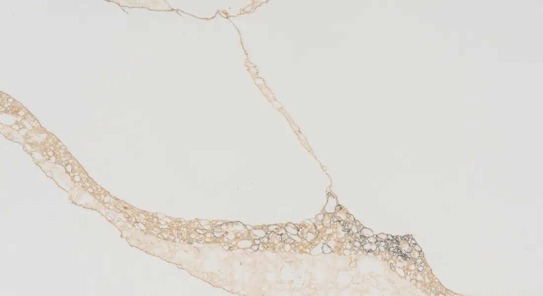 CALACATTA NERO GOLD TQ#1012